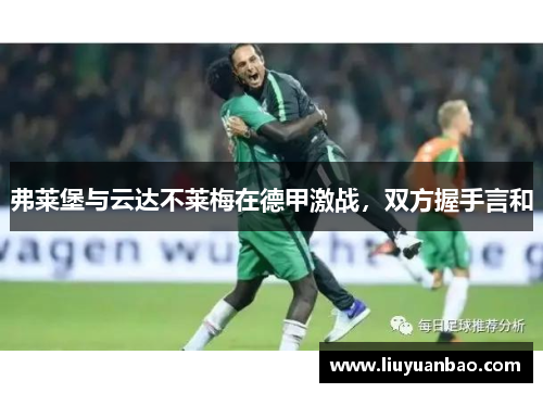 弗莱堡与云达不莱梅在德甲激战，双方握手言和