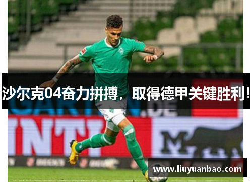 沙尔克04奋力拼搏，取得德甲关键胜利！