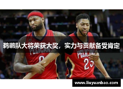 鹈鹕队大将荣获大奖，实力与贡献备受肯定