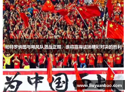 帕特罗纳图与飓风队激战正酣，谁将赢得这场精彩对决的胜利