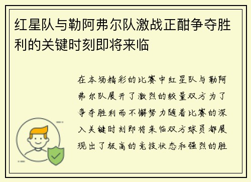 红星队与勒阿弗尔队激战正酣争夺胜利的关键时刻即将来临