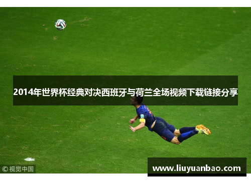 2014年世界杯经典对决西班牙与荷兰全场视频下载链接分享